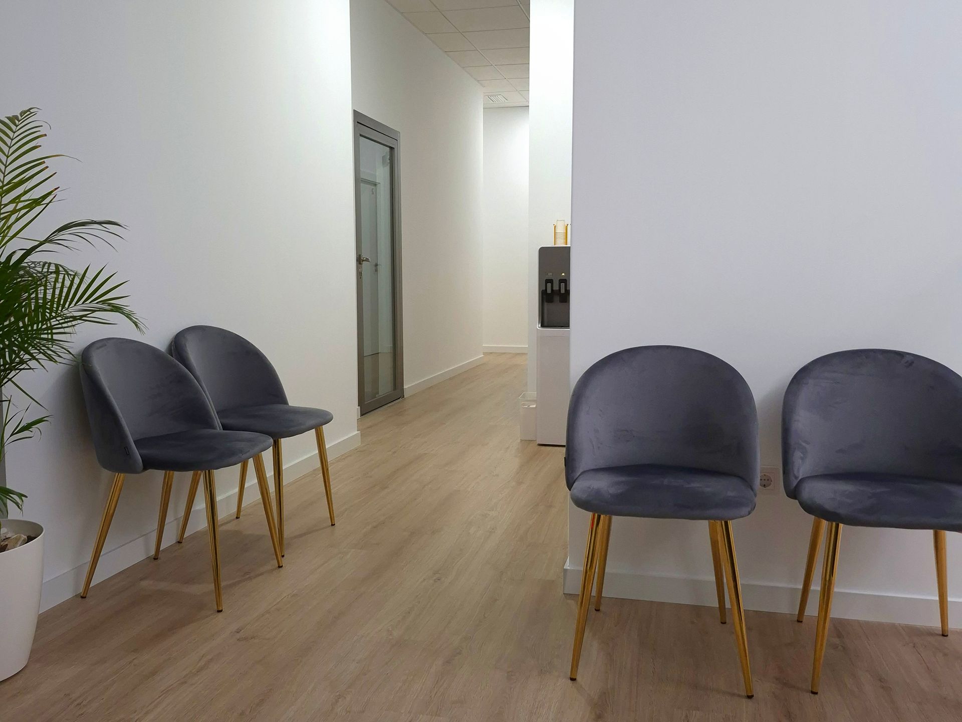 Laraib Health Clinic reception — book your appointment